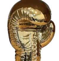 دستکش بوکس طلا کد 5